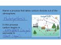 Carbon Cycle and Greenhouse Gases
