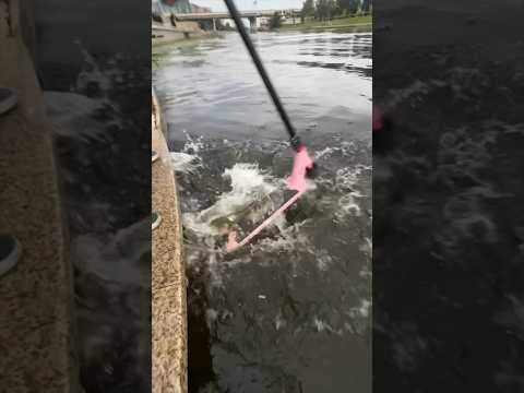 ЗАЧЕМ ОН ТОПИТ СВОЙ САМОКАТ??? 😳Часть два!!! #scooter #scootering #challenge #scootertricks #scoot