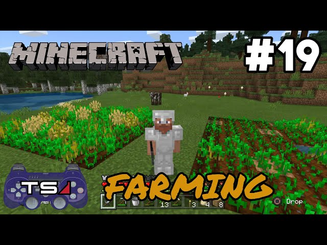 FARMING!!! - MINECRAFT: BUILDING A TOWN #19 (BEDROCK EDITION)