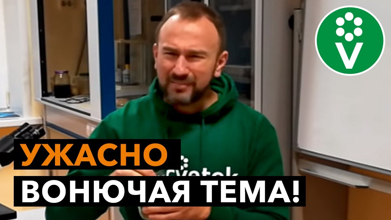Эффективные средства от запаха для септиков, выгребных ям и подстилок