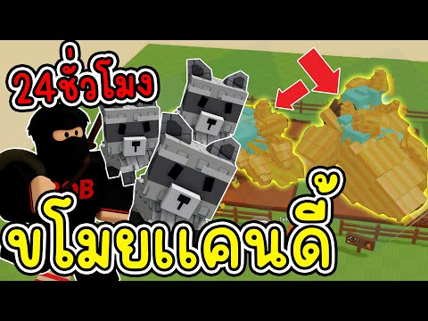 ใช้เเร็คคูนขโมยผล24ชั่วโมง ขโมยเเคนดี้!!  Grow a Garden
