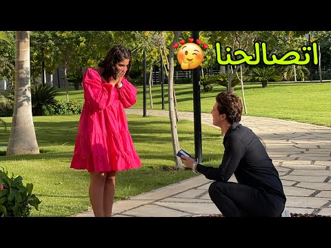 حليم وبيلا عملو اكبر مفاجاة لامل 💍رد فعلها...