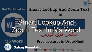 Smart Lookup and Zoom Text in MS Word