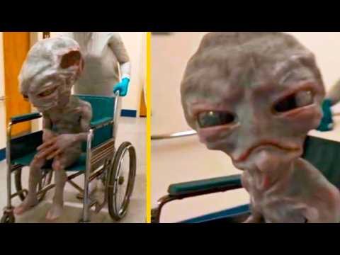 Secret Alien Footage You Need To See Before They Are Deleted