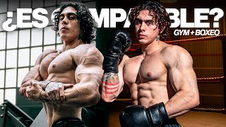 GYM y BOXEO DIARIO? TRATANDO DE MANTENER UN BUEN FÍSICO CON AMBAS DISCIPLINAS