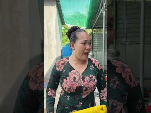 Sui gia đại chiến #ngoại_tình #giaitrivui #haihuoc #shorts #giadinh #ngoctinh #Windnet