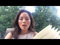 Sarah's Experiences and Observations