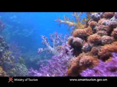 Marine life of Oman