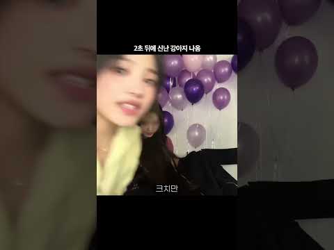 쟤 헬륨 못 마시게 막아봐