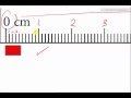 Estimating Measurements with Rulers