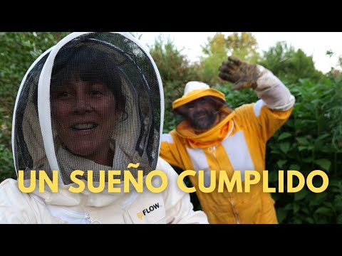 Hasta que lo tienes, no sabes! 😭💛🐝  | Las abejas mejoraron todo (De Langstrom a #Flowhive  VLOG)