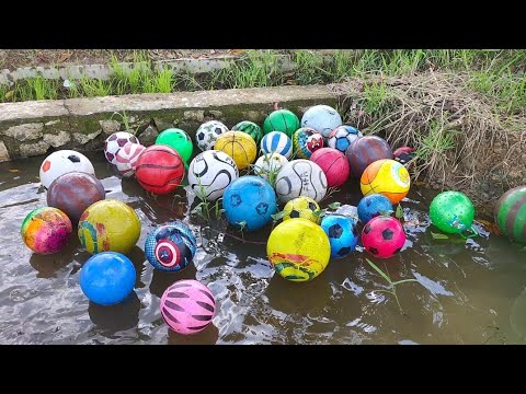 Woww....!!! Menemukan Banyak Bola Bola Di Sawah !!!