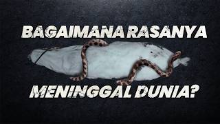 Seperti Inilah! Malam Pertamamu di Alam Kubur!