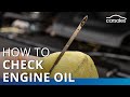 Car Engine Oil Maintenance