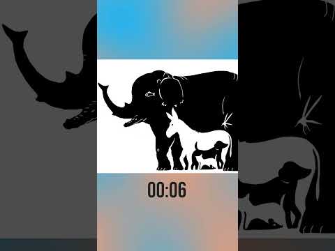 Có bao nhiêu loài vật trong hình CMT đáp án của bạn nhé  #dovui #games #dovuigiaitri #funny #cartoon