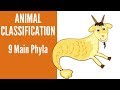 Animal Biology Concepts Assessment