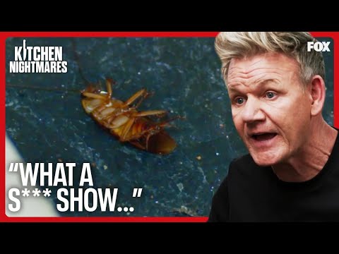 Gordon Ramsay Finds Roaches & Rotten Shrimp In Fridge… | Kitchen Nightmares