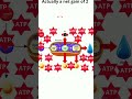 Cellular Respiration and ATP Production