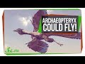 Understanding Archaeopteryx and Graphene