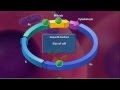 Exploring the Stages of the Cell Cycle and Mitosis