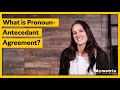 Exploring Pronoun-Antecedent Agreement