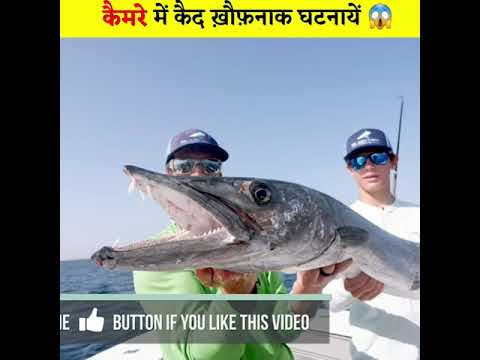 Unbelievable Moments Caught on Camera (Part-53) 😱 #shorts
