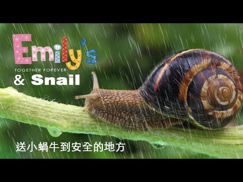 【Emily & 小蝸牛】蝸牛品種｜蝸牛壽命｜蝸牛特徵｜蝸牛吃什麼｜Nick爸爸說故事 - YouTube