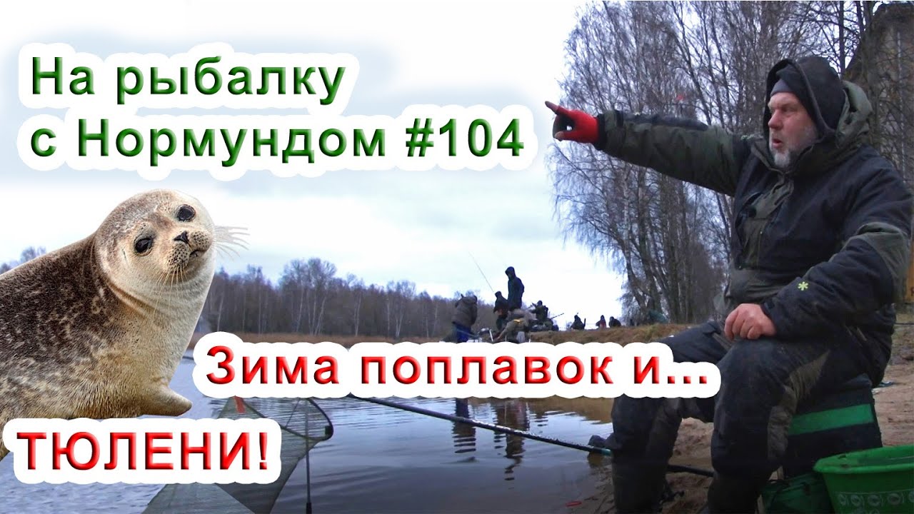 Зима, поплавок и. ТЮЛЕНИ! На рыбалку с Нормундом #104