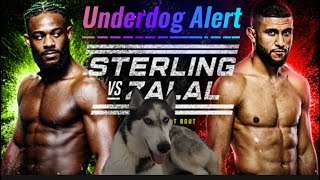 UFC Fight Night: Sterling vs. Zalal. Full card Predictions 