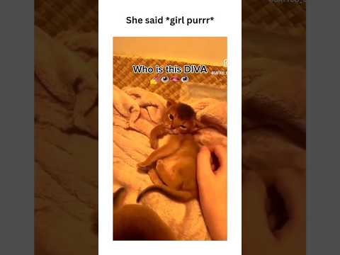 Who do you know who gives off Diva energy?