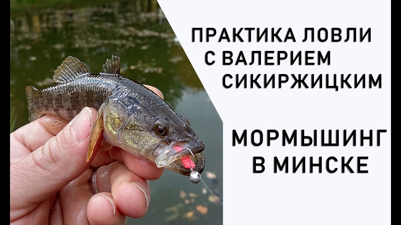 Городская рыбалка в Минске. Мормышинг. Практика ловли с Валерием Сикиржицким