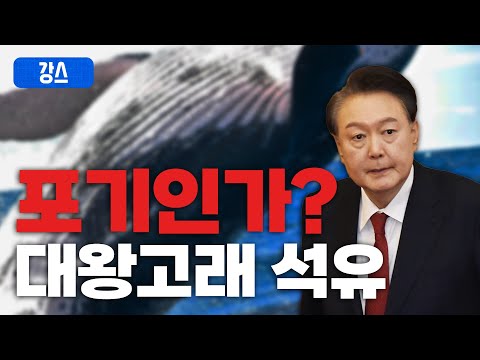 기대했던 대왕고래, 결국 무산되나? / [강스라이팅]