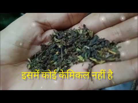 Darjiling की स्पेशल ऑर्गेनिक चाय,real चाय की पत्ती,no chemical 😊🌱