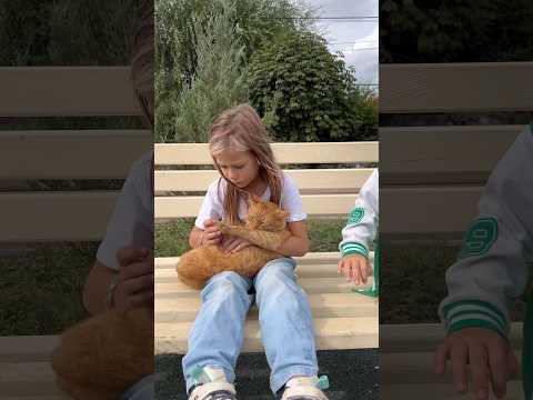 Снимай под мою новую песню и попали в топ #shorts #вайн #жиза #юмор #ladymilanapap