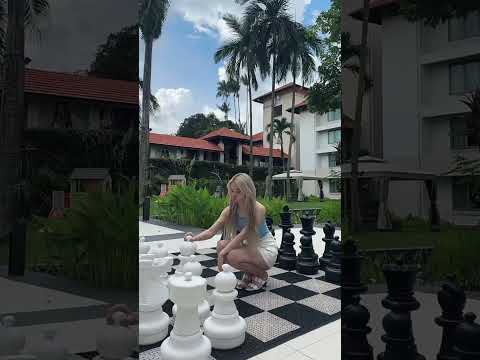 체스 두실 분♟️