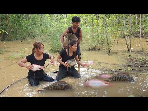 Survival in the rainforest, Catch and cook redfish for jungle food, Fish soup tasty for dinner