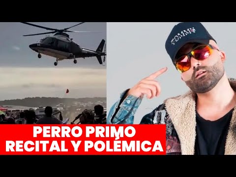 INDIGNACIÓN: "PERRO PRIMO" ATERRIZÓ EN HELICÓPTERO EN UNA PLAYA DE PINAMAR