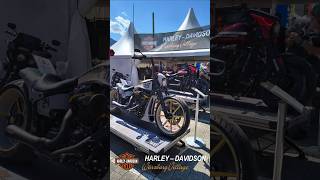 European Bike Week 2025 mit HD Würzburg Village. #harleydavidson #harleydavidsonwürzburgvillage