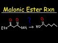 Malonic Ester Synthesis Concepts