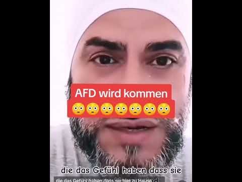 Integrierter Migrant #deutsch #deutschland #afd #politik #cdu #islam #religion #lustig #fypシ #ampel
