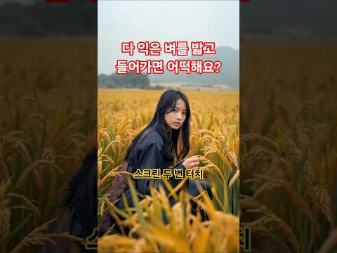 그래도 지금은 못나가요