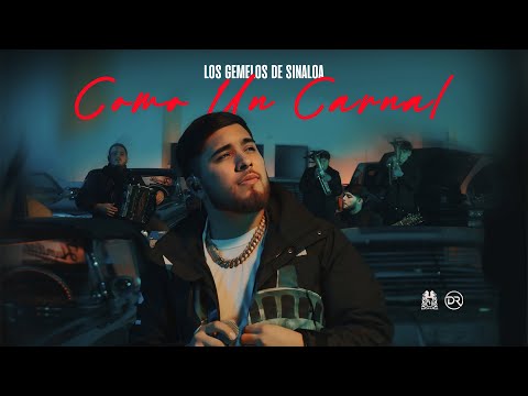 Los Gemelos De Sinaloa - Como Un Carnal [En Vivo]