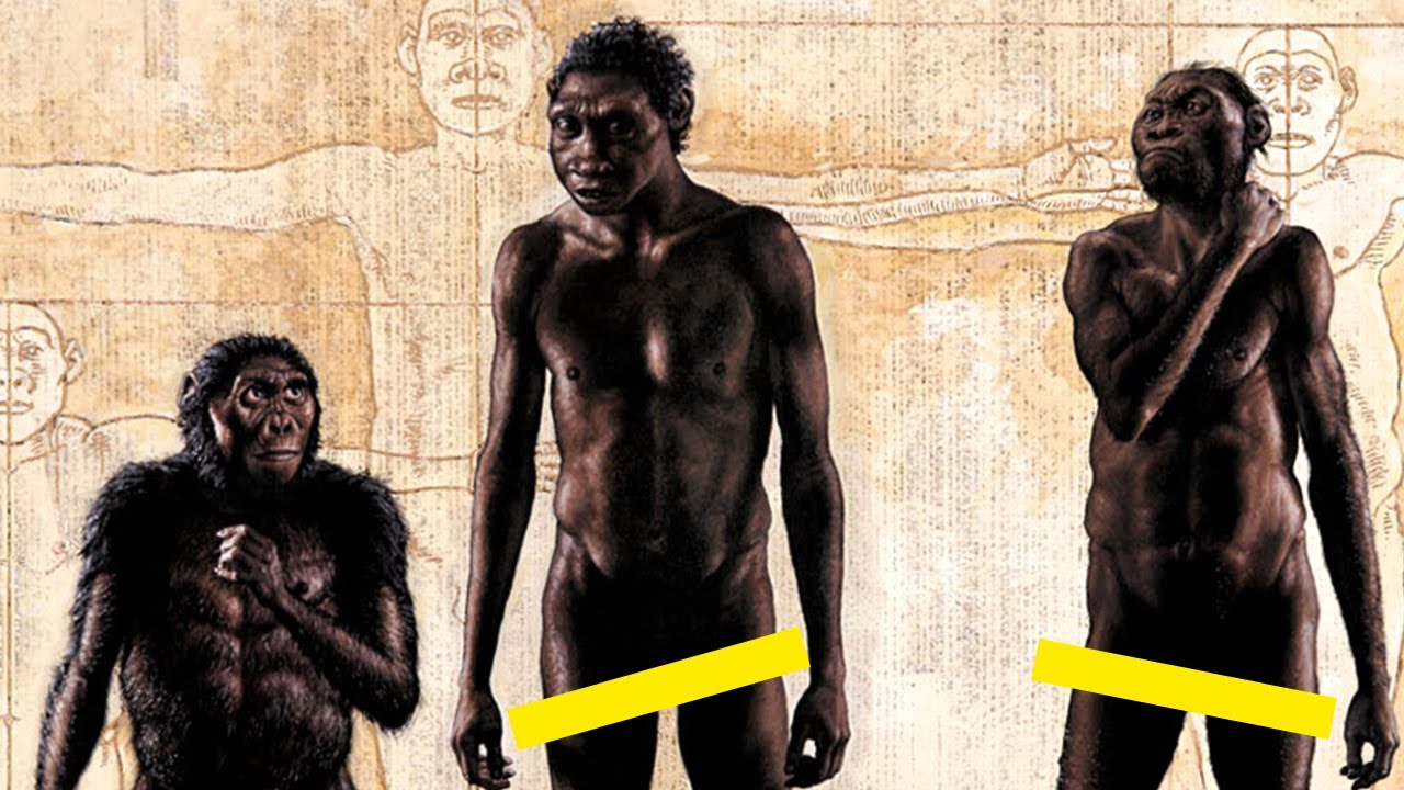 A Brief History Of The Star-man: Homo Naledi Homo Species - A Day In History