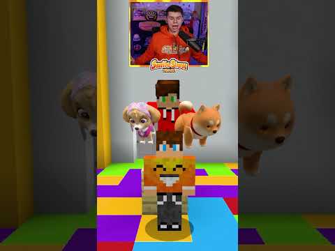 Co wybierzesz? #shorts #minecraft