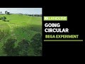 Circular Economy Concepts and Practices