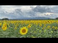 昼休みと天気に関するクイズ