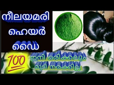 💯💯നീലയമരി ഹെയർ ഡൈ l Indigo Powder Hair Dye with Henna l Homemade Hair Dye with Neelayamari and Henna