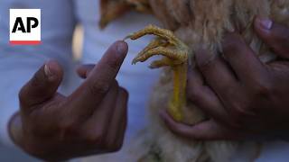 YouTube video thumbnail: Caring for the Earth Is a Spiritual Calling for These Regenerative Farmers