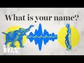Animal Communication and AI Insights