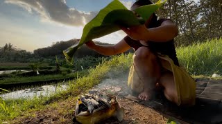 Masak ikan bakar sambil menikmati matahari sore di pondok sawah